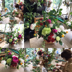 6月の旬の花を楽しむ 6月の旬の花を楽しむ