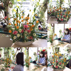 サンダーソニアの初夏の花遊び