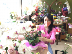 胡蝶蘭のお誕生日プレゼントアレンジ 胡蝶蘭のお誕生日プレゼントアレンジ