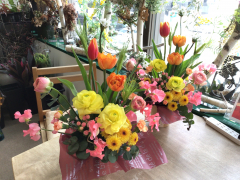可愛い春の花アレンジレッスン