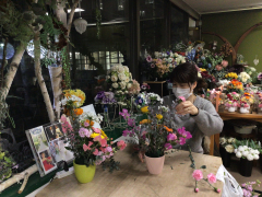 180度展開のフラワーアレンジ 基本からレッスンするフラワーアレンジ
