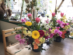 春の花いっぱいのアレンジレッスン 春の花いっぱいのアレンジレッスン