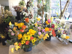 春の花いっぱいのアレンジレッスン 春の花いっぱいのアレンジレッスン