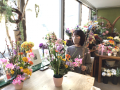 お雛祭りアレンジレッスン お雛祭りアレンジレッスン