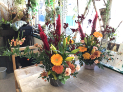 2025.11.15レッスン風景