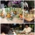プリザーブドフラワーのレッスン 菅野先生201304